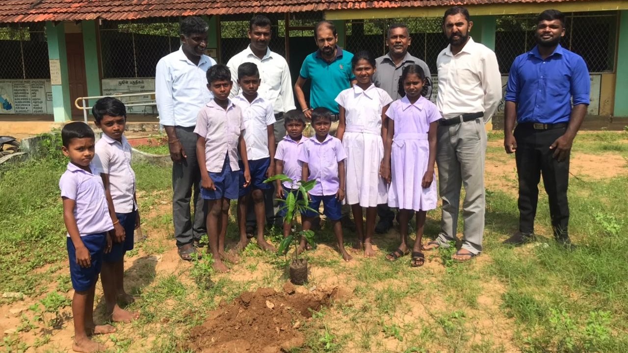 Providing Trees for Planting